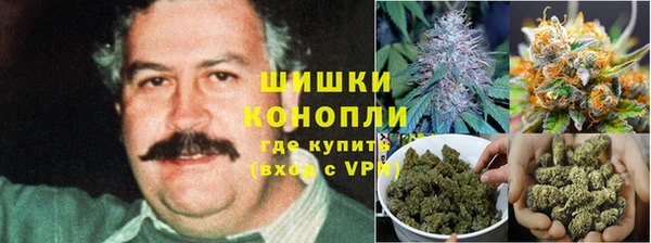 гидра Бугульма